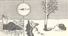 Определение сторон горизонта по муравейнику; по таянию снега в овраге; по лунке у дерева; по снегу, прилипшему к камню
